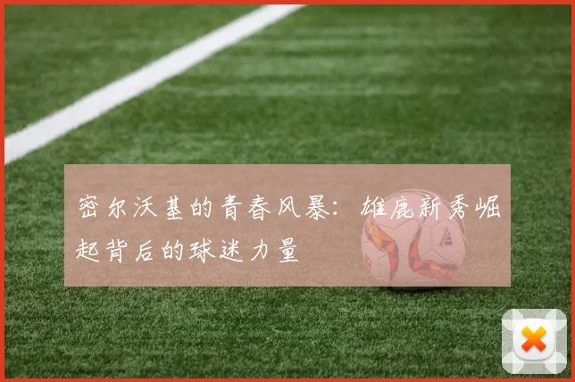 密尔沃基的青春风暴：雄鹿新秀崛起背后的球迷力量